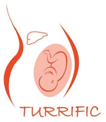 Logotyp för TURRIFIC