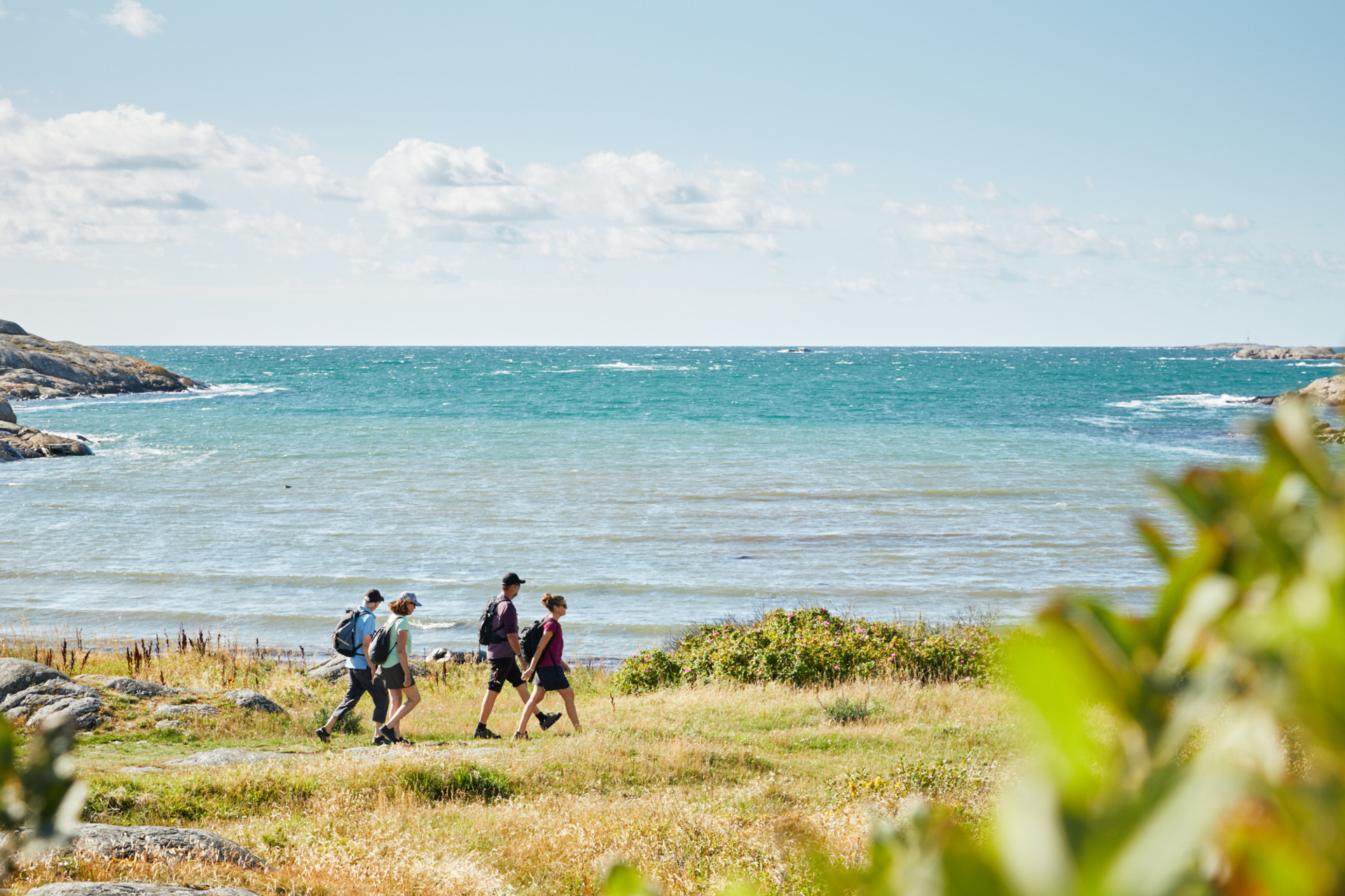 En grupp människor som promenerar vid havet