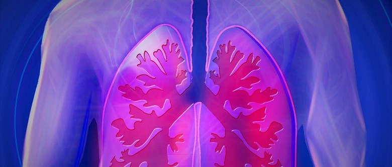 Illustration av lungor
