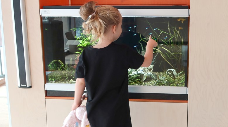 Ett barn och ett akvarium med fiskar