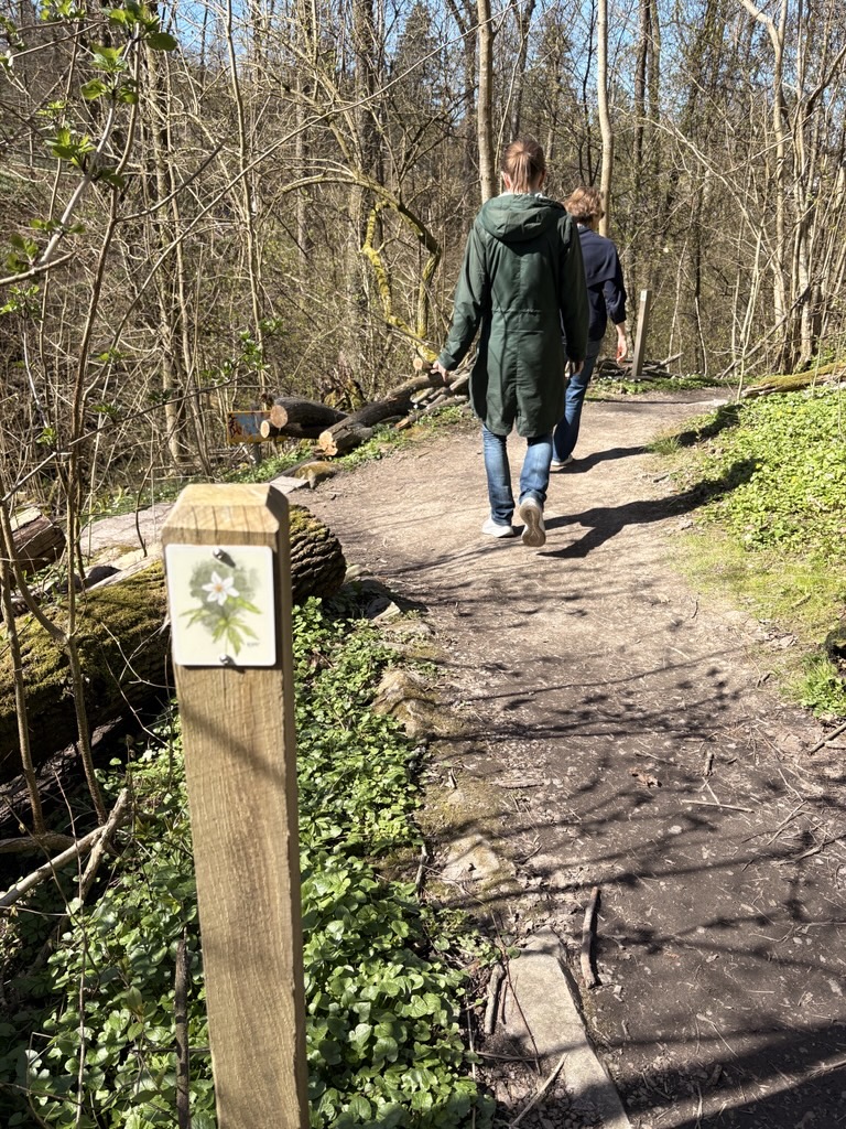 Två personer promenerar i skog