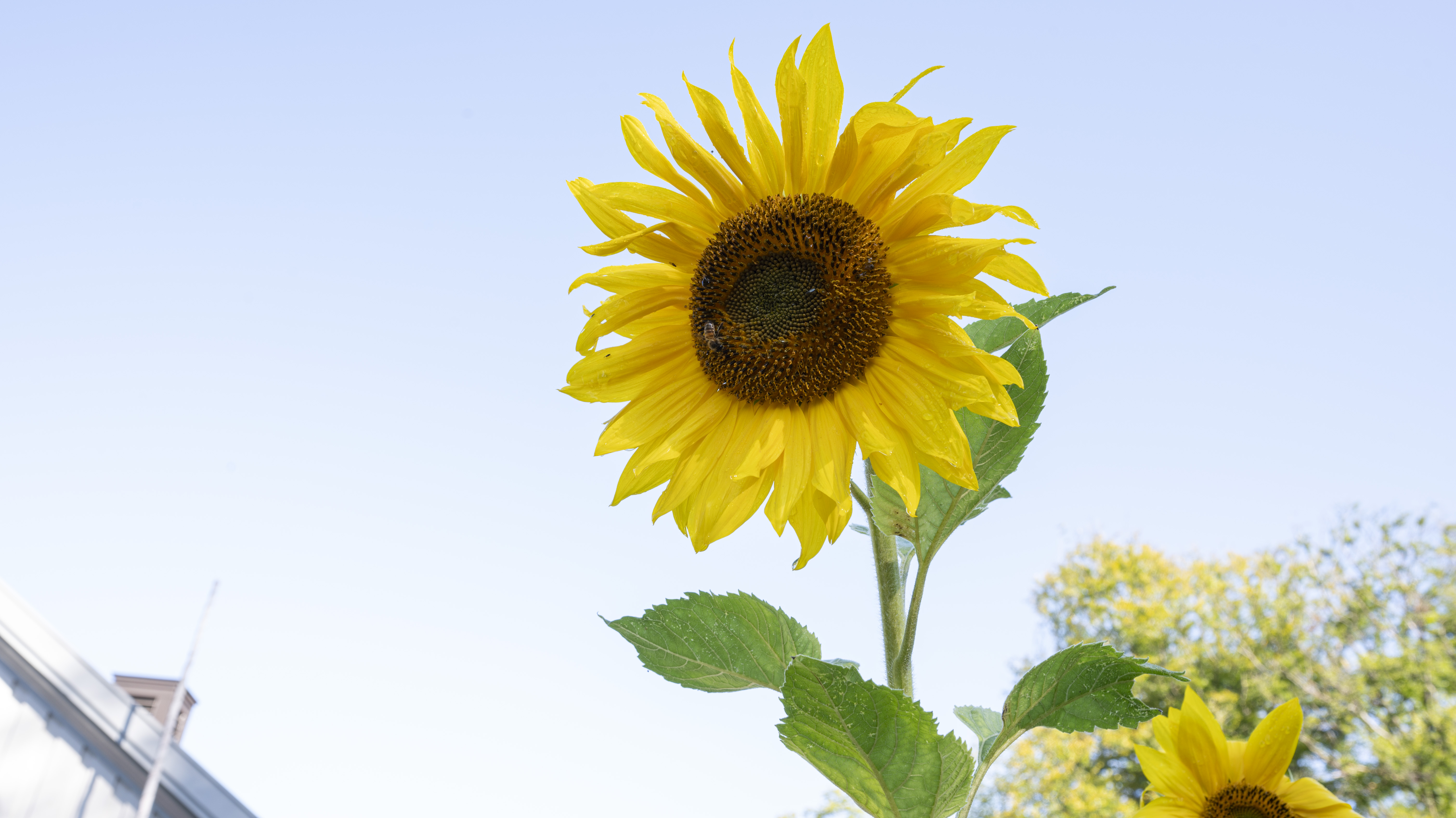 Ingen beskrivning tillgänglig