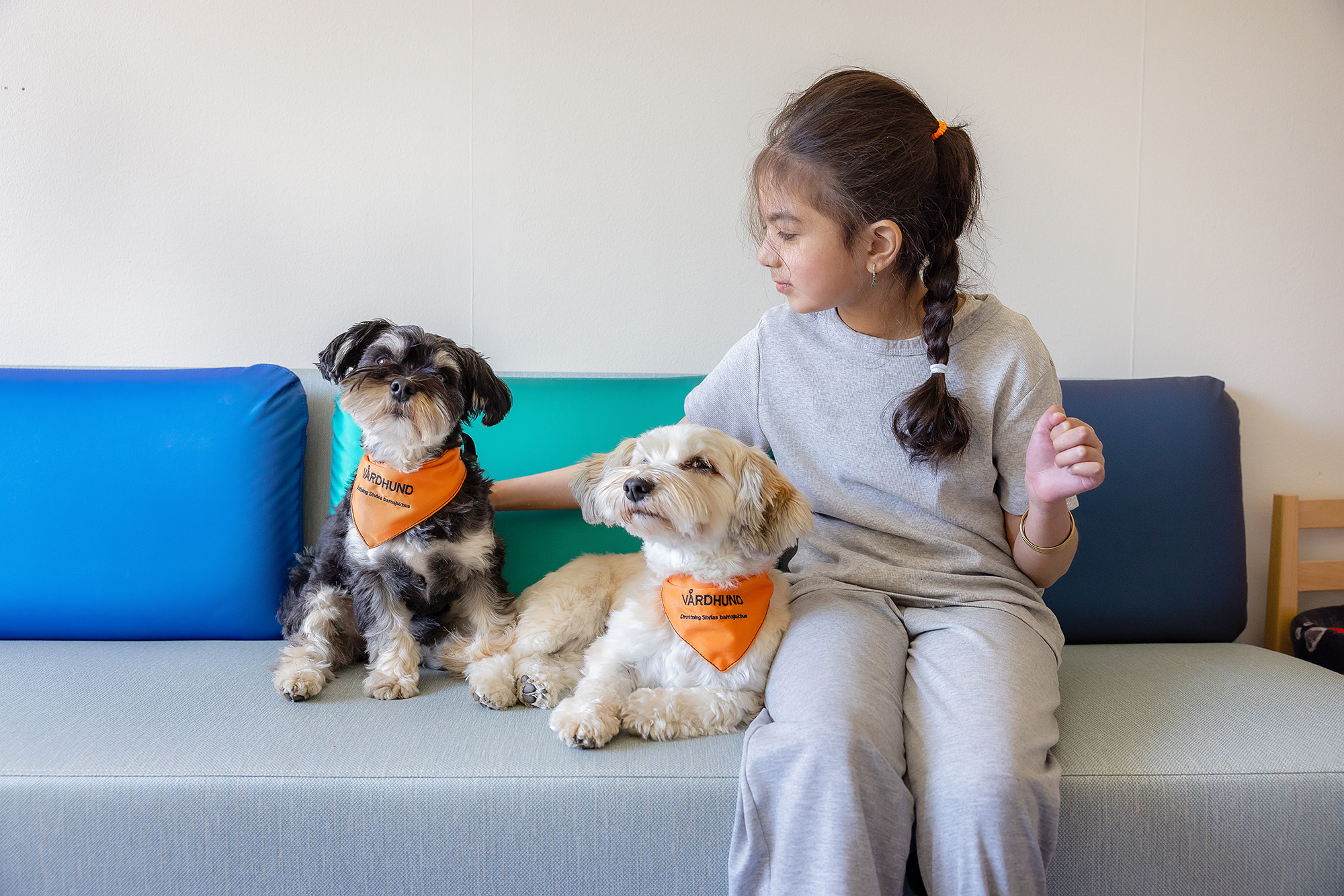 A child with two dogs.