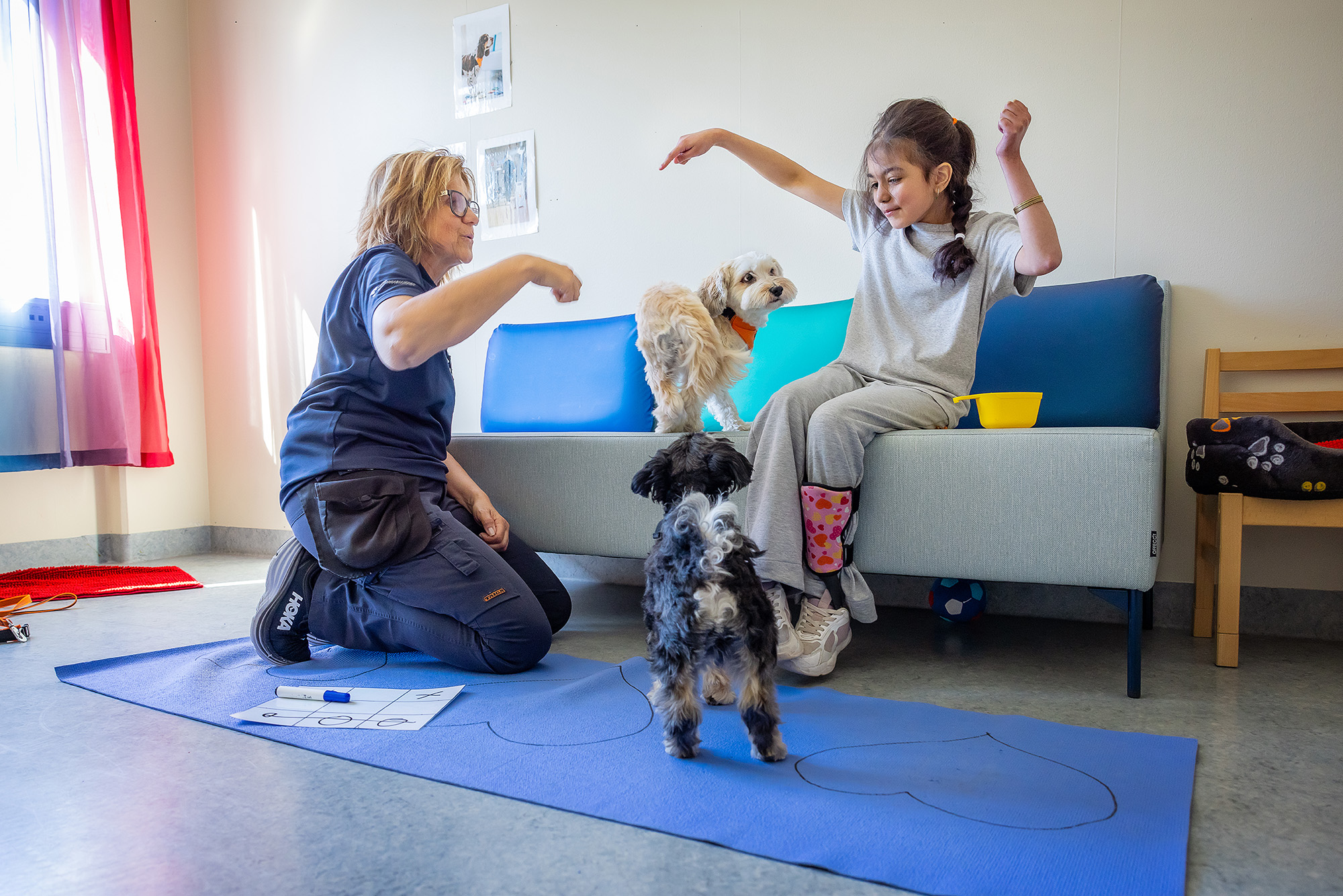 A child and an adult woman playing with two dogs.