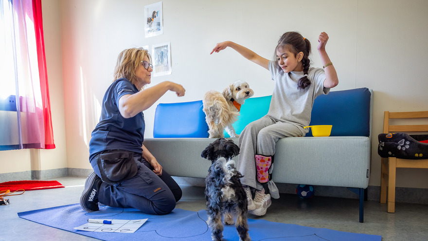 A child and an adult woman playing with two dogs.