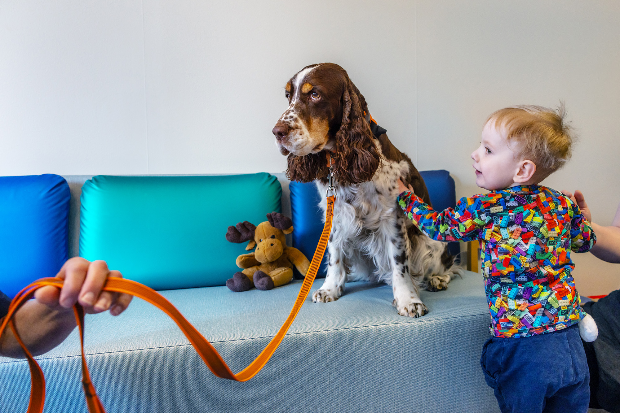 A dog and a child on a couch.