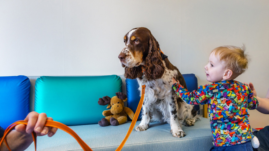 A dog and a child on a couch.
