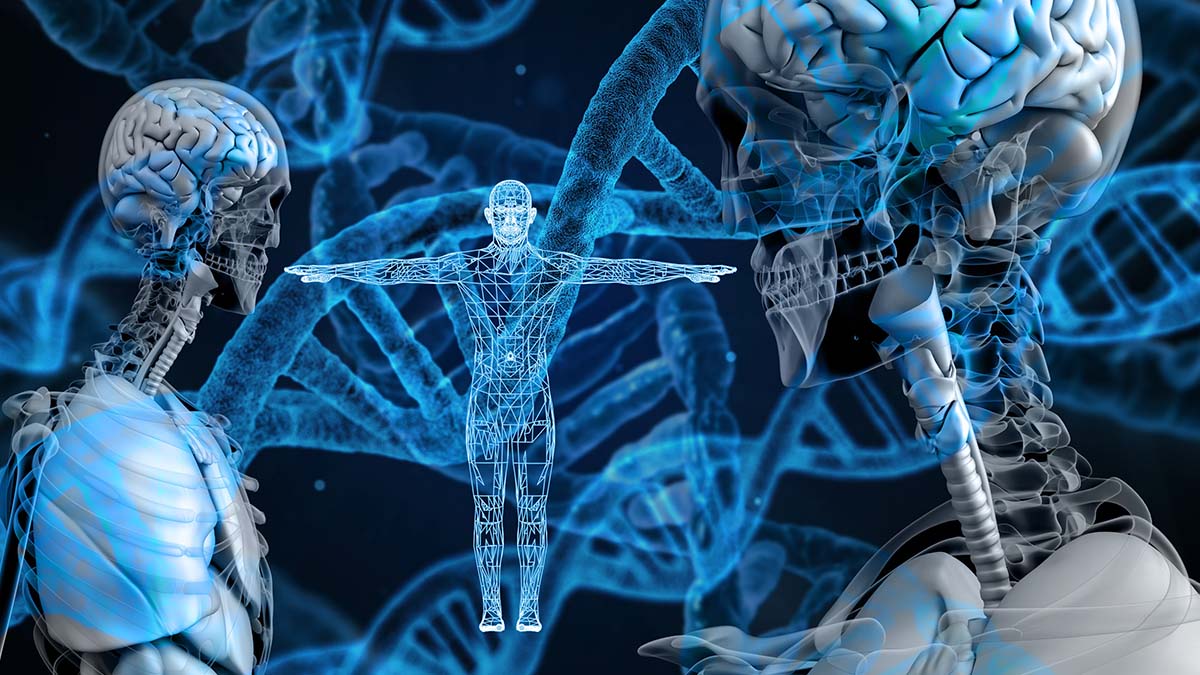 Ingen beskrivning tillgänglig