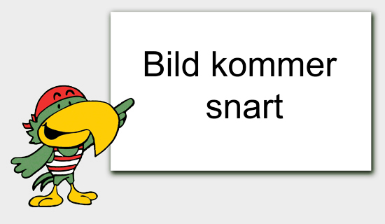 En bild som ligger i bildspelet
